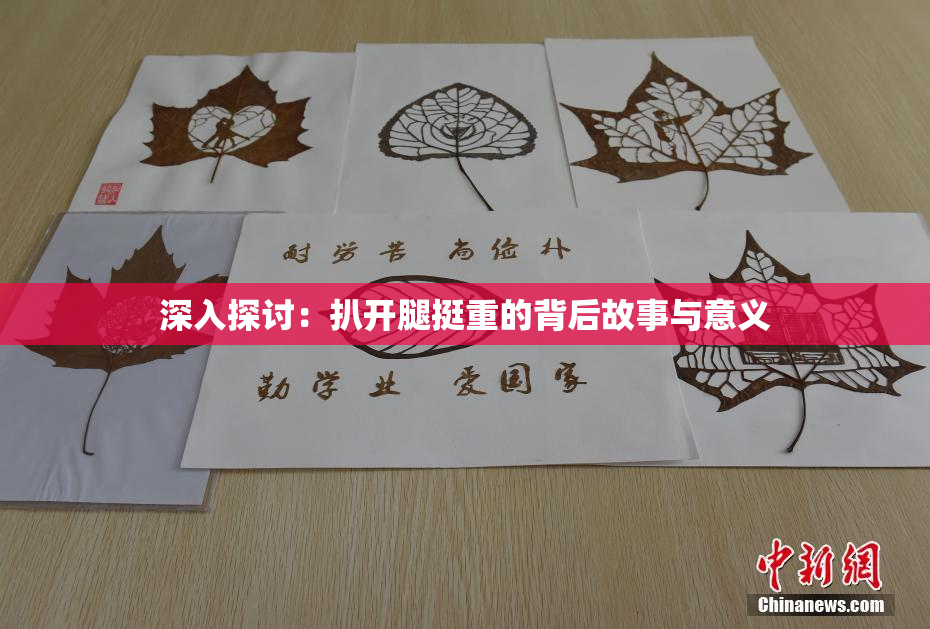 深入探讨：扒开腿挺重的背后故事与意义