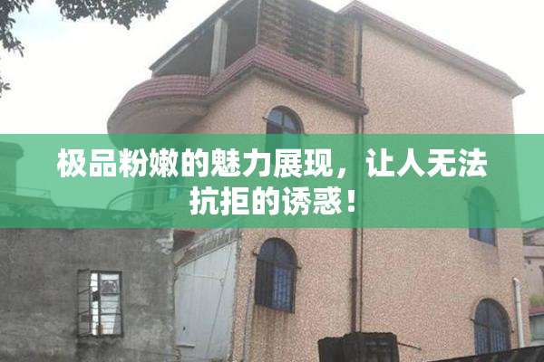 极品粉嫩的魅力展现，让人无法抗拒的诱惑！