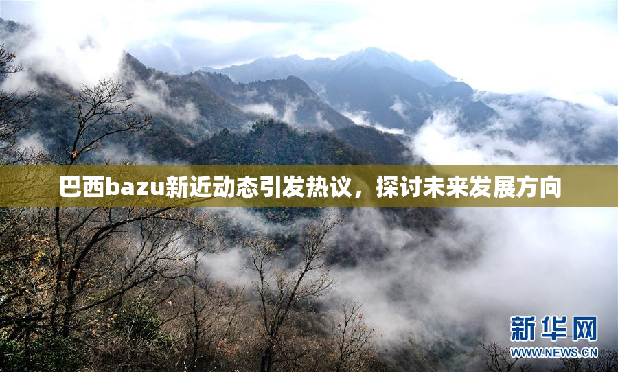 巴西bazu新近动态引发热议，探讨未来发展方向