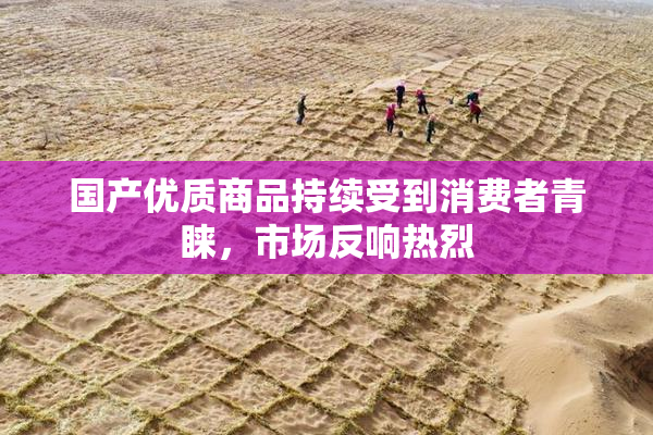 国产优质商品持续受到消费者青睐，市场反响热烈