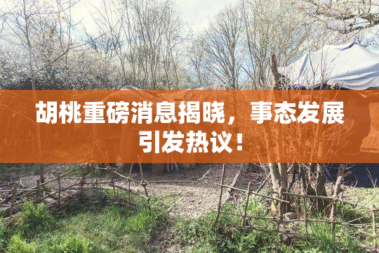 胡桃重磅消息揭晓，事态发展引发热议！
