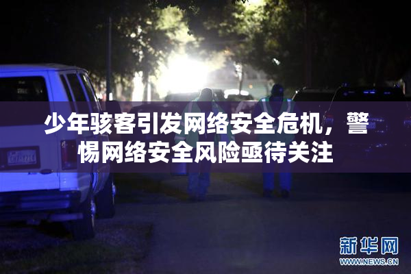 少年骇客引发网络安全危机，警惕网络安全风险亟待关注
