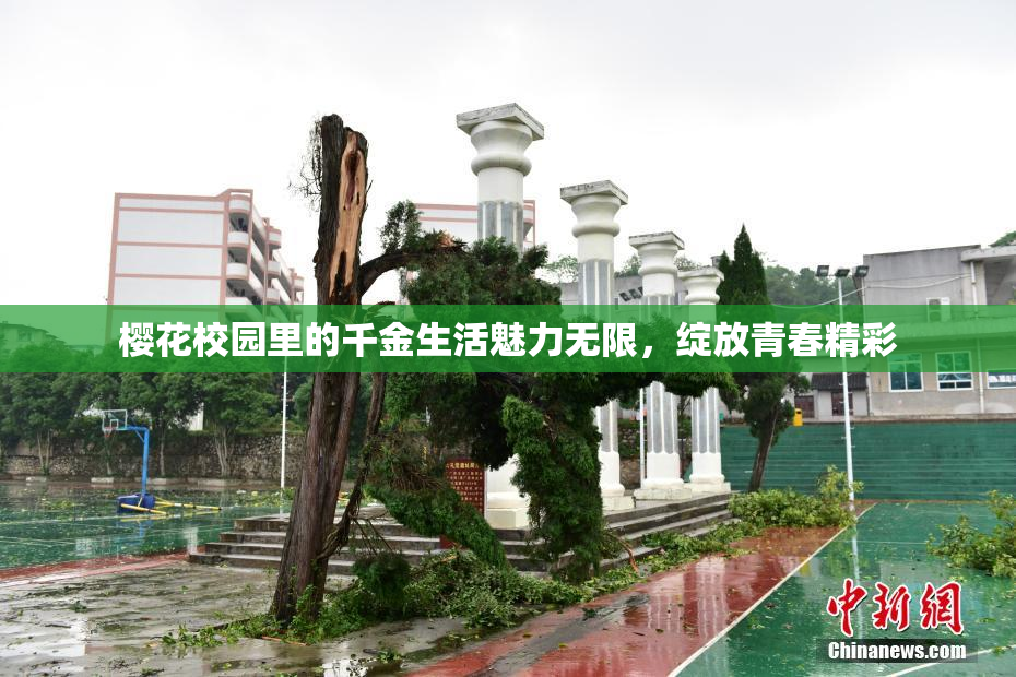 樱花校园里的千金生活魅力无限，绽放青春精彩