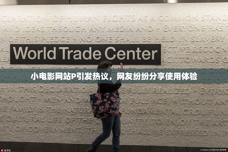 小电影网站P引发热议，网友纷纷分享使用体验