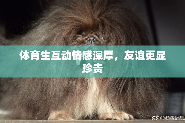 体育生互动情感深厚，友谊更显珍贵