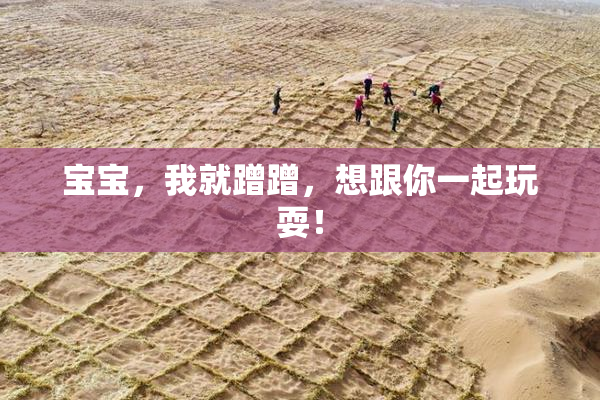 宝宝，我就蹭蹭，想跟你一起玩耍！