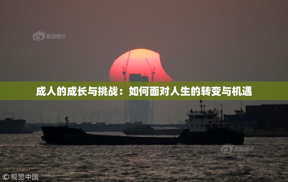 成人的成长与挑战：如何面对人生的转变与机遇