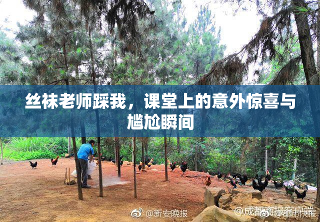 丝袜老师踩我，课堂上的意外惊喜与尴尬瞬间