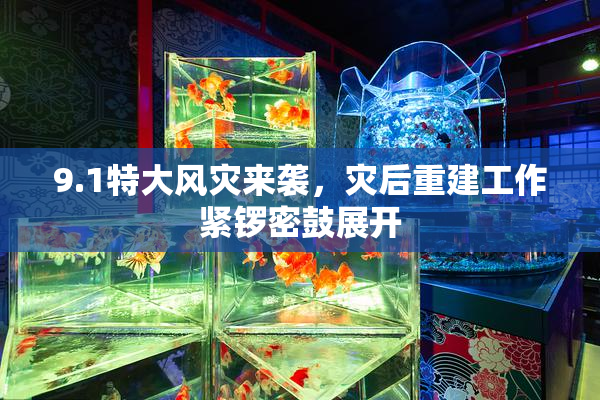 9.1特大风灾来袭，灾后重建工作紧锣密鼓展开