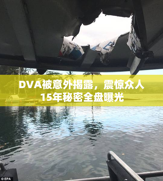 DVA被意外揭露，震惊众人15年秘密全盘曝光