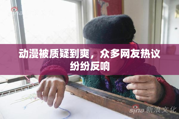 动漫被质疑到爽，众多网友热议纷纷反响