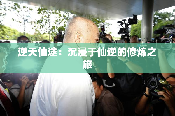 逆天仙途：沉浸于仙逆的修炼之旅