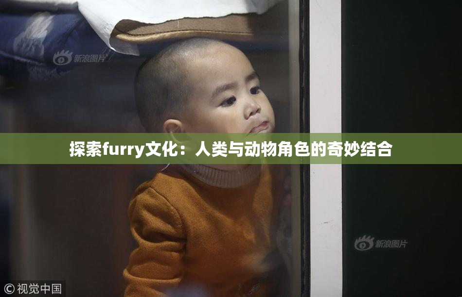 探索furry文化：人类与动物角色的奇妙结合