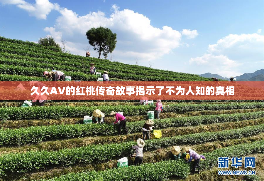 久久AV的红桃传奇故事揭示了不为人知的真相