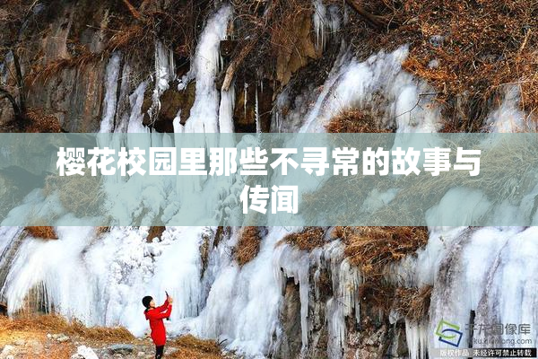 樱花校园里那些不寻常的故事与传闻