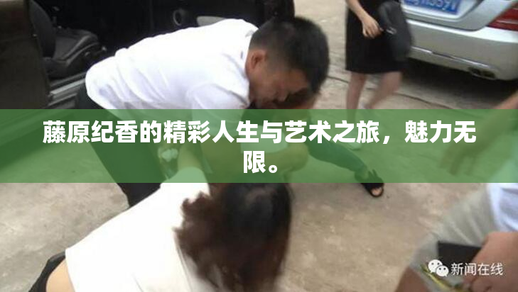 藤原纪香的精彩人生与艺术之旅，魅力无限。