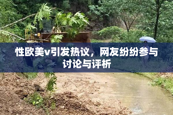 性欧美v引发热议，网友纷纷参与讨论与评析