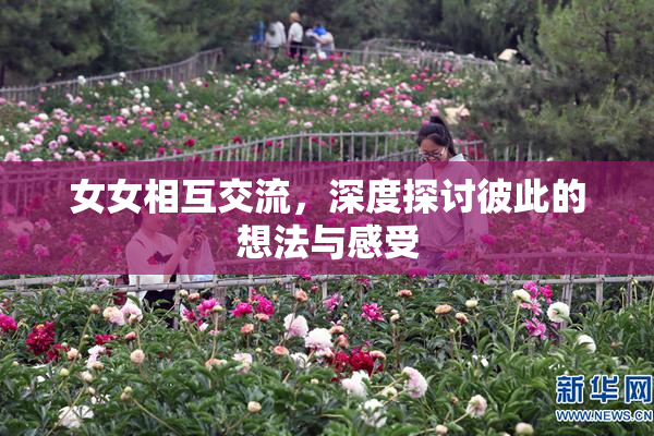 女女相互交流，深度探讨彼此的想法与感受
