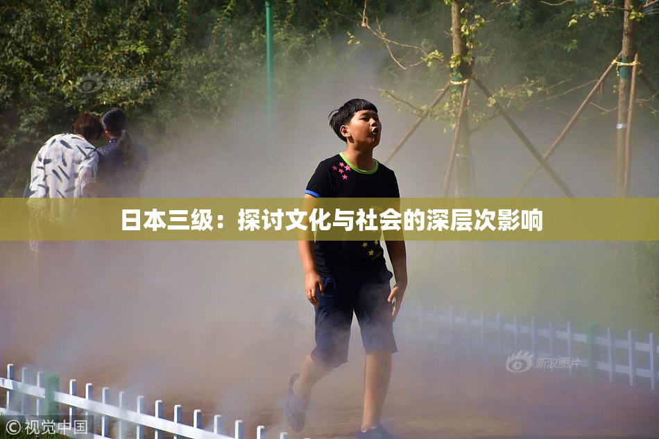 日本三级：探讨文化与社会的深层次影响