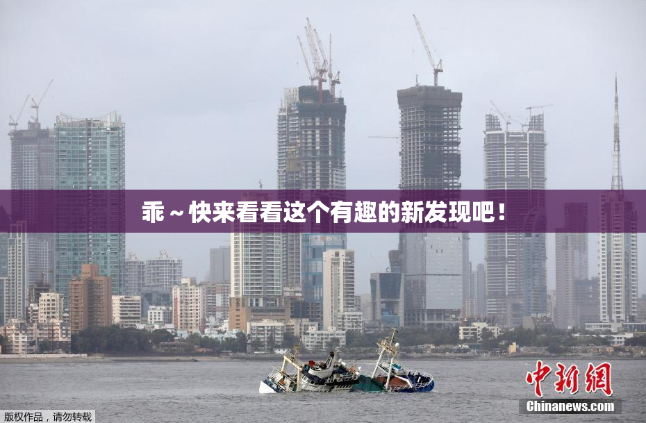 乖～快来看看这个有趣的新发现吧！