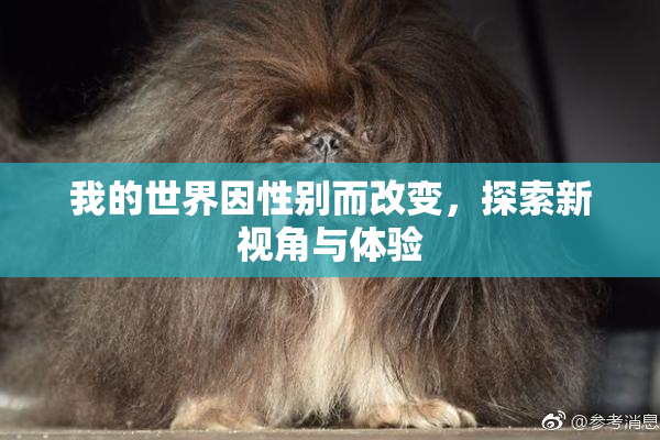 我的世界因性别而改变，探索新视角与体验