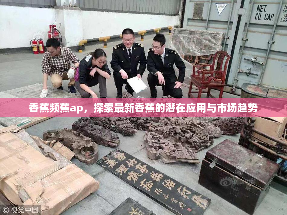 香蕉频蕉ap，探索最新香蕉的潜在应用与市场趋势