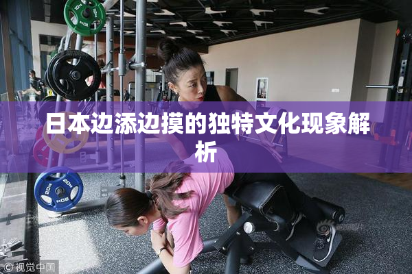 日本边添边摸的独特文化现象解析