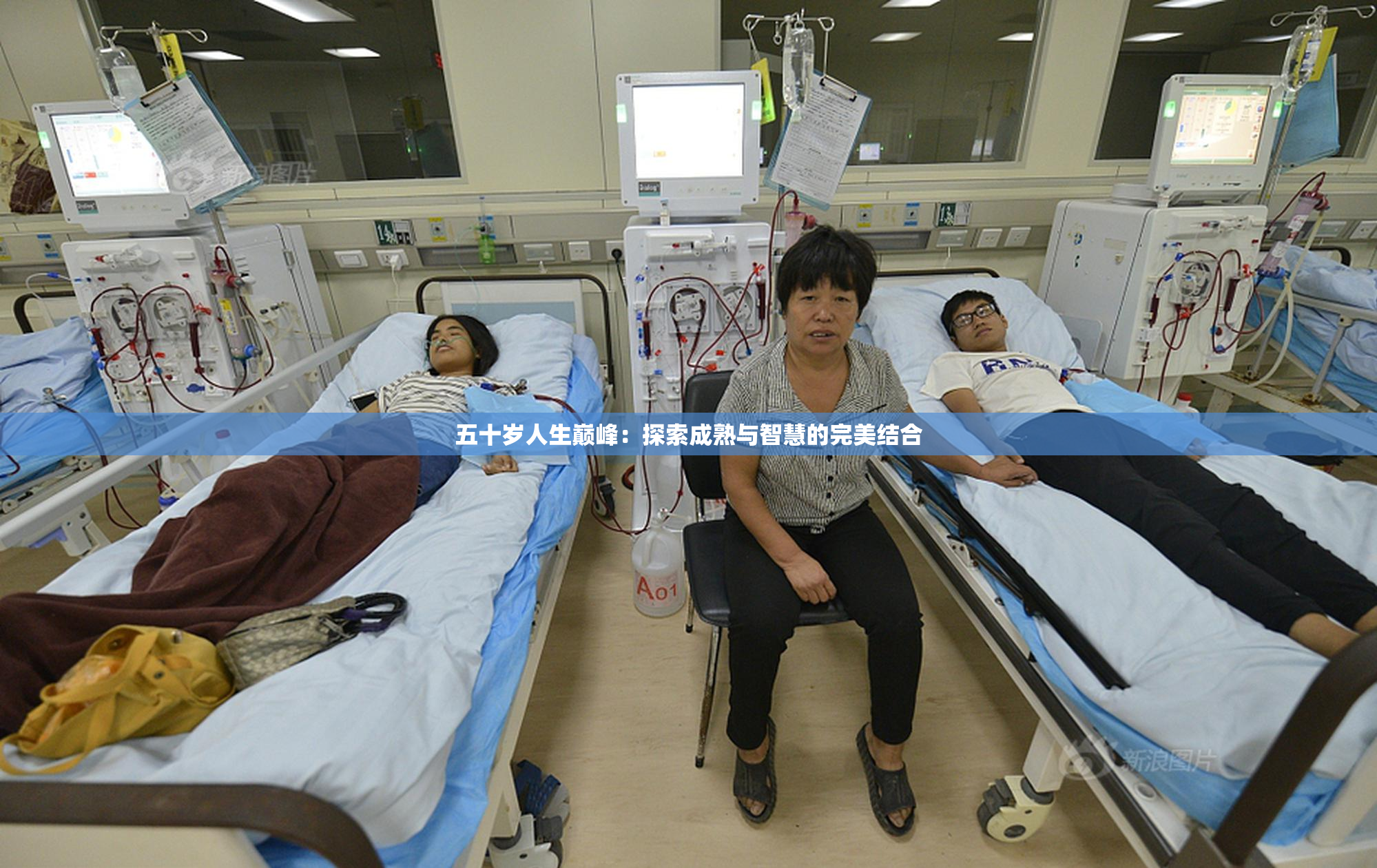 五十岁人生巅峰：探索成熟与智慧的完美结合