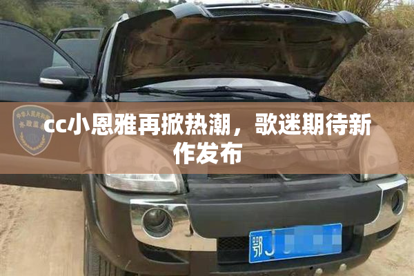 cc小恩雅再掀热潮，歌迷期待新作发布