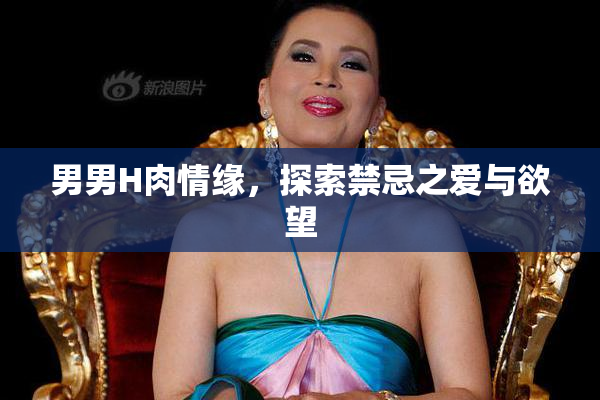 男男H肉情缘，探索禁忌之爱与欲望