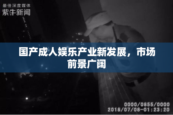 国产成人娱乐产业新发展，市场前景广阔