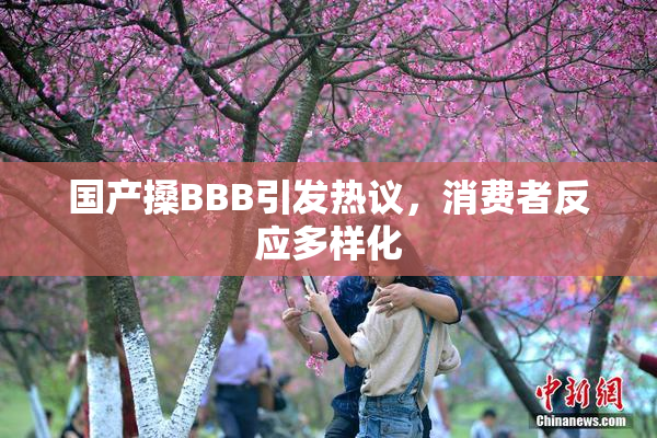 国产搡BBB引发热议，消费者反应多样化