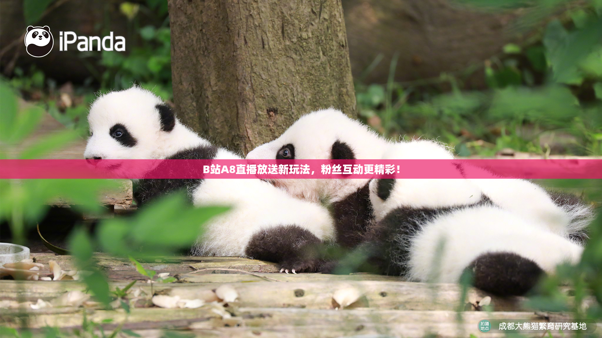 B站A8直播放送新玩法，粉丝互动更精彩！