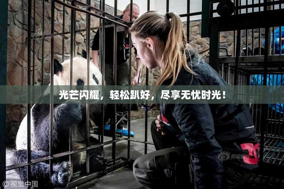 光芒闪耀，轻松趴好，尽享无忧时光！