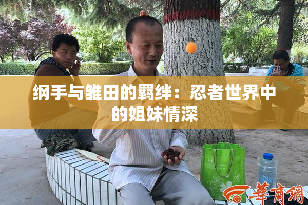 纲手与雏田的羁绊：忍者世界中的姐妹情深
