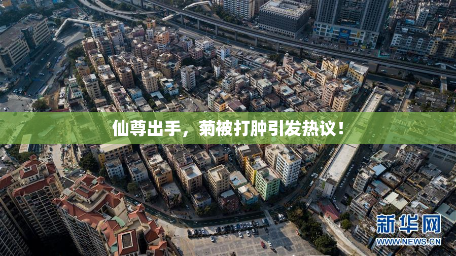 仙尊出手，菊被打肿引发热议！