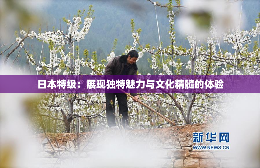 日本特级：展现独特魅力与文化精髓的体验