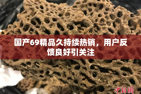 国产69精品久持续热销，用户反馈良好引关注