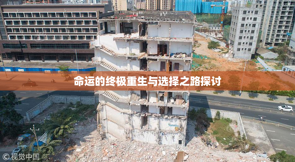 命运的终极重生与选择之路探讨