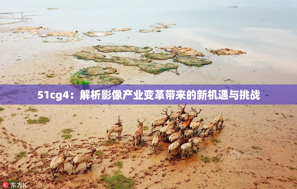 51cg4：解析影像产业变革带来的新机遇与挑战