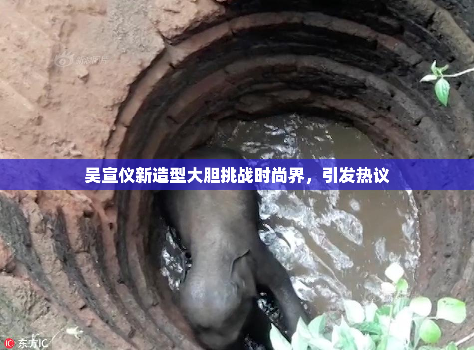 吴宣仪新造型大胆挑战时尚界，引发热议