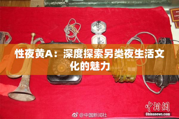 性夜黄A：深度探索另类夜生活文化的魅力
