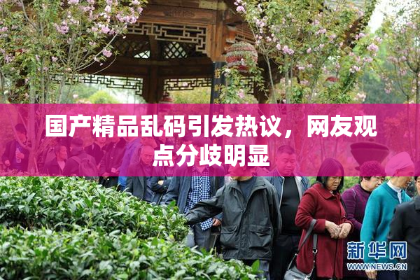 国产精品乱码引发热议，网友观点分歧明显