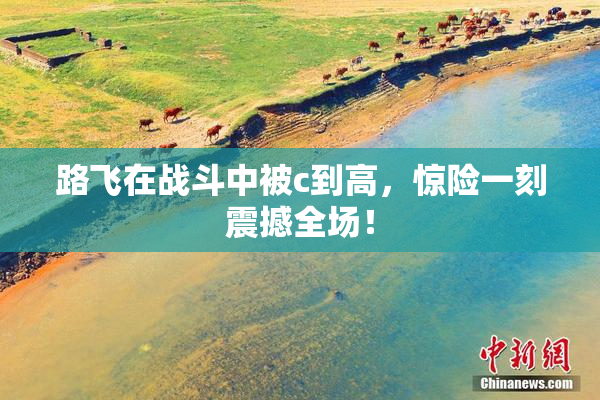 路飞在战斗中被c到高，惊险一刻震撼全场！
