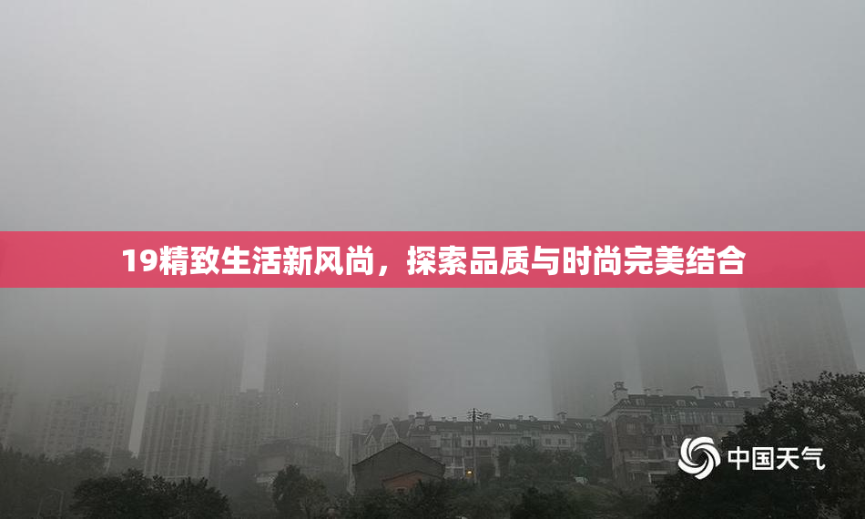 19精致生活新风尚，探索品质与时尚完美结合
