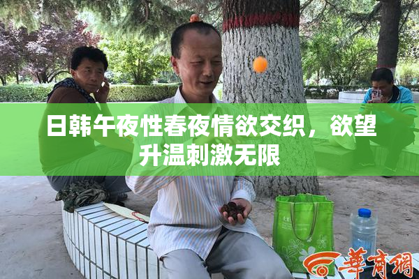 日韩午夜性春夜情欲交织，欲望升温刺激无限