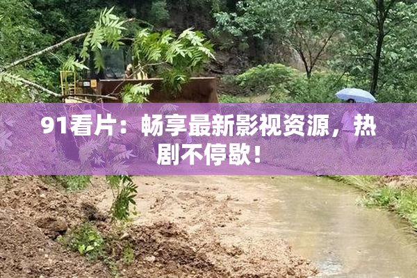 91看片：畅享最新影视资源，热剧不停歇！