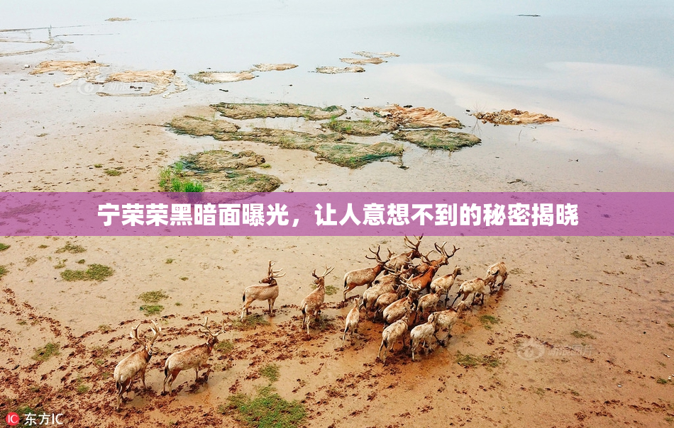宁荣荣黑暗面曝光，让人意想不到的秘密揭晓