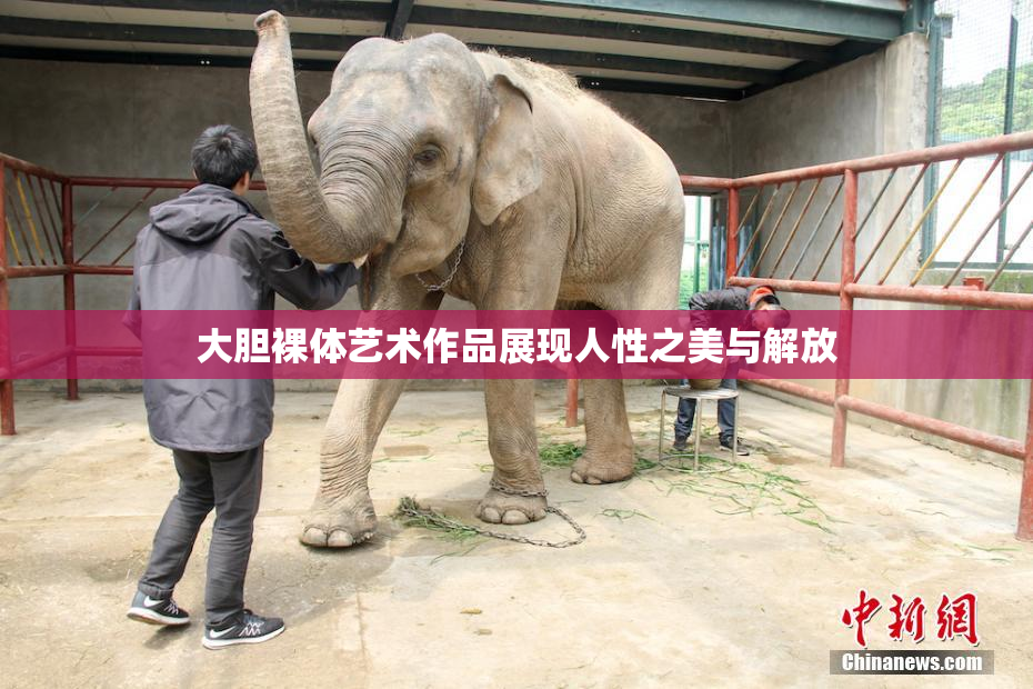 大胆裸体艺术作品展现人性之美与解放