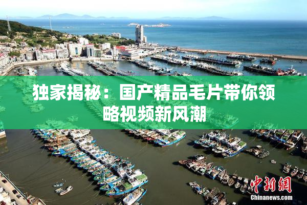 独家揭秘：国产精品毛片带你领略视频新风潮
